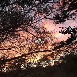 Meet your Posher, Cesar